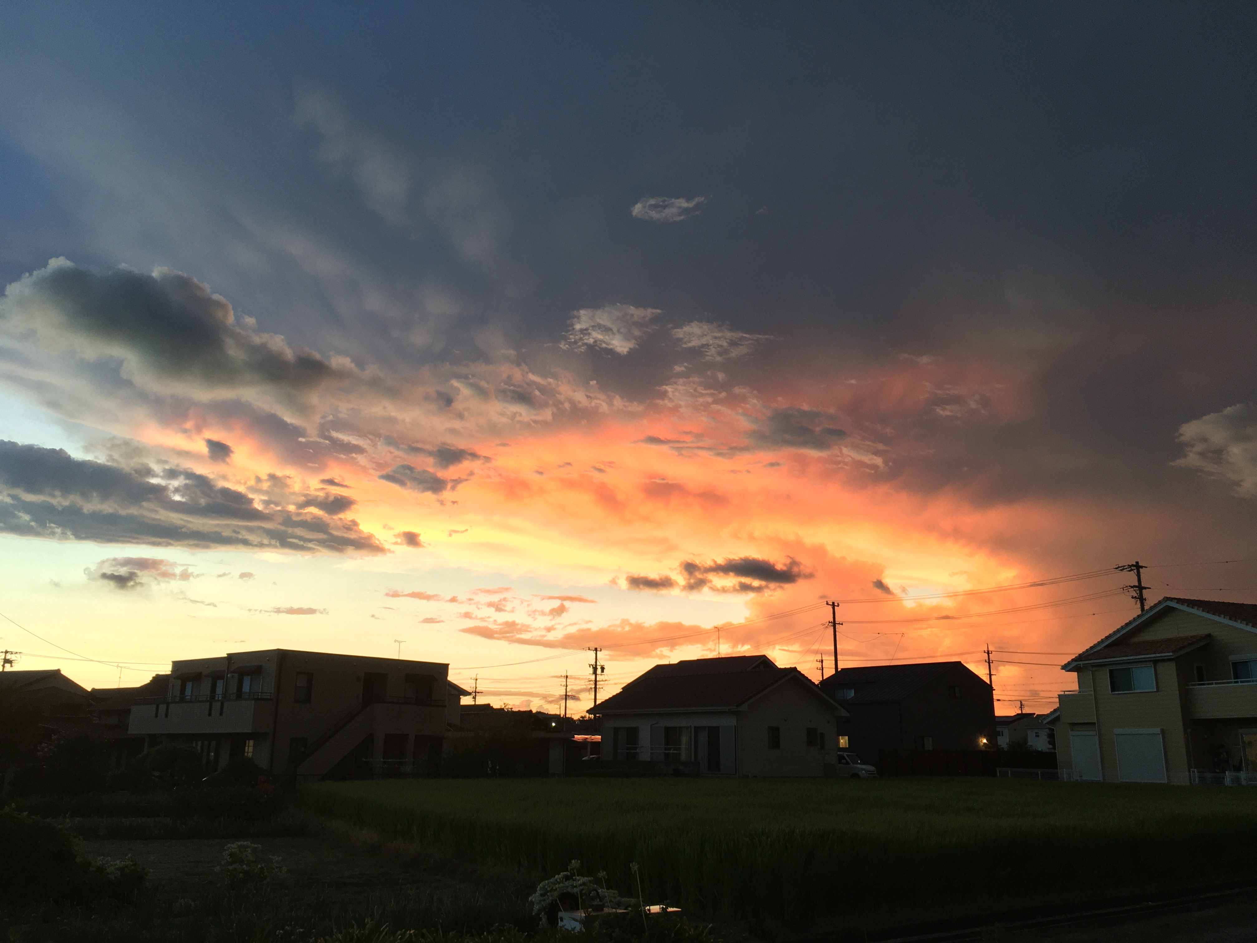 久しぶりの雨となりました。