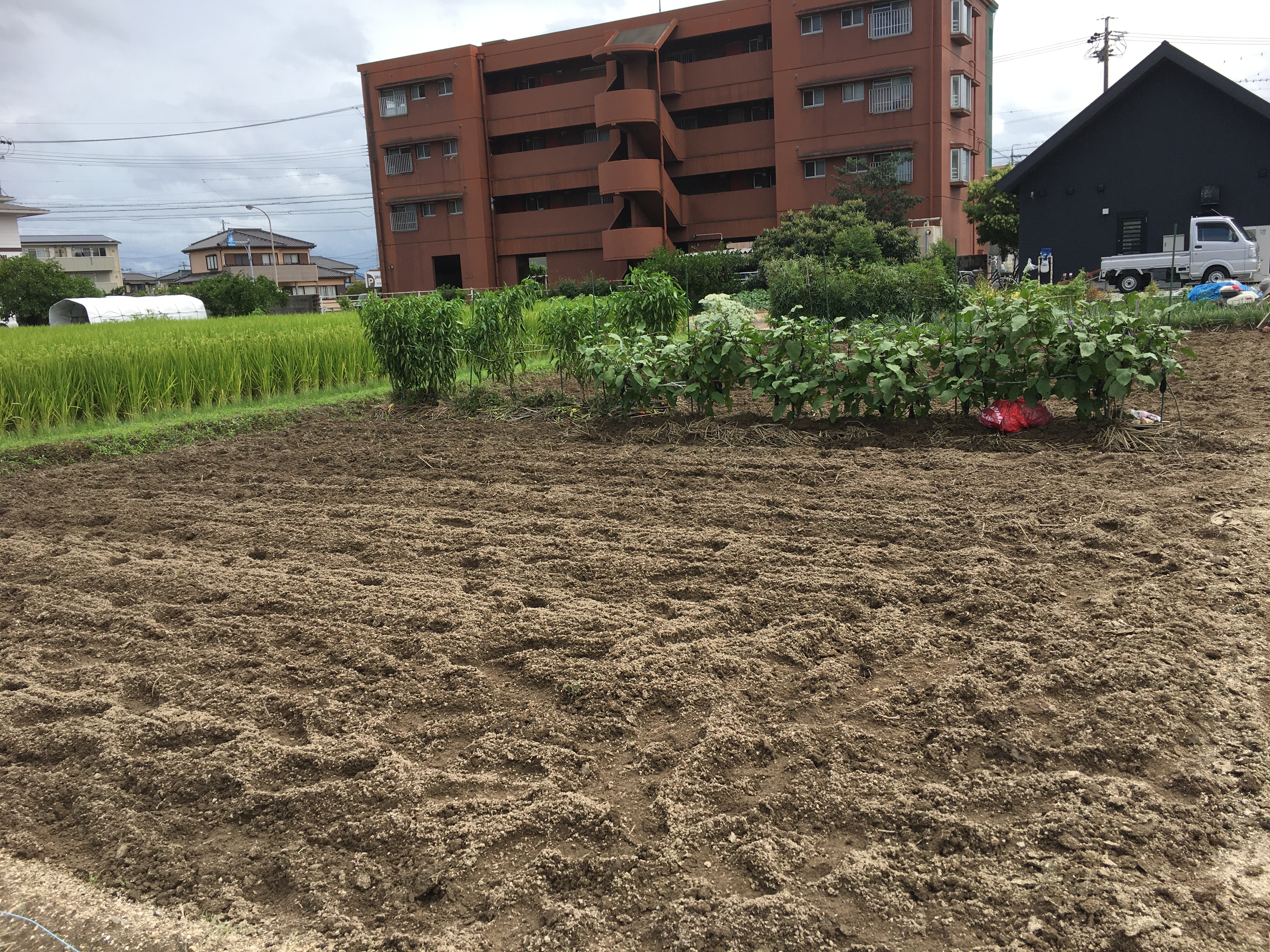 束の間の晴れ間に・・・