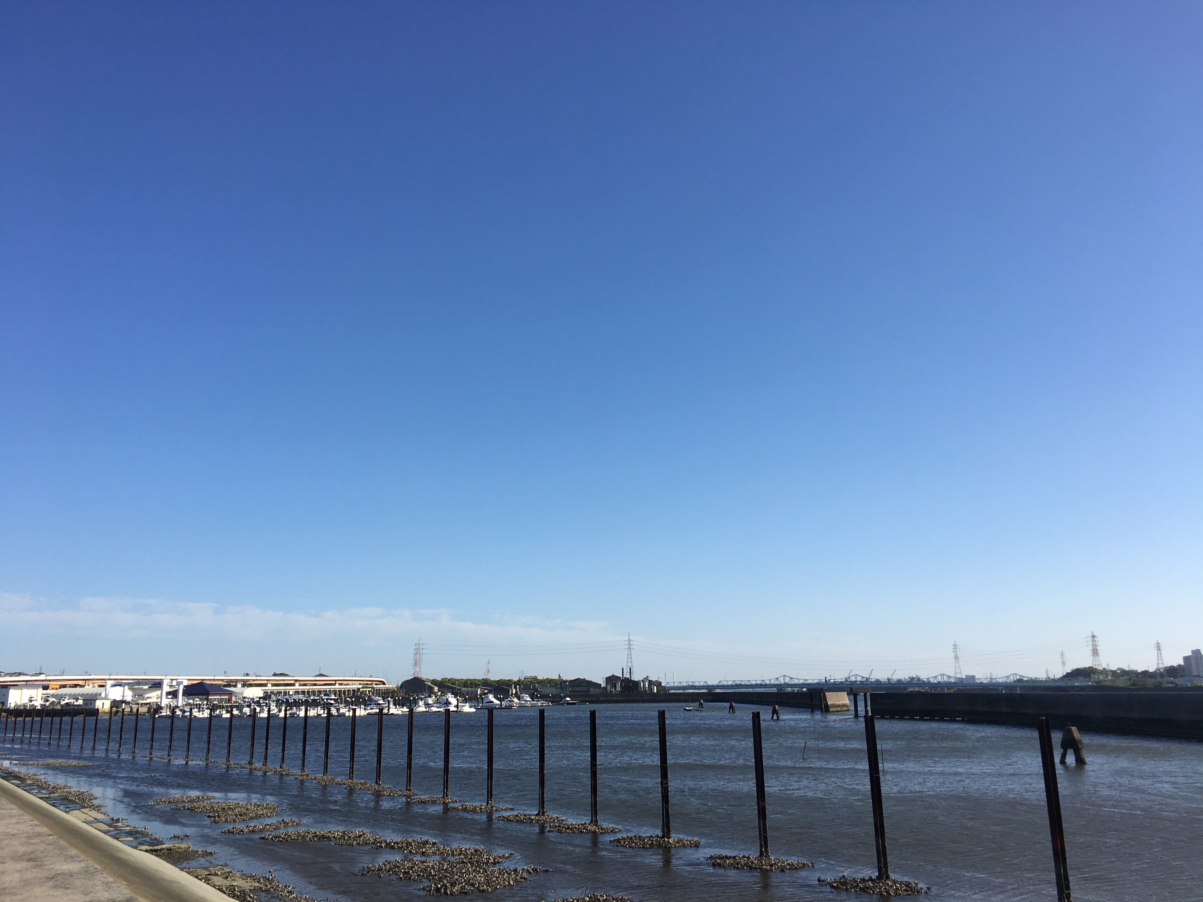 「海草」と「海藻」