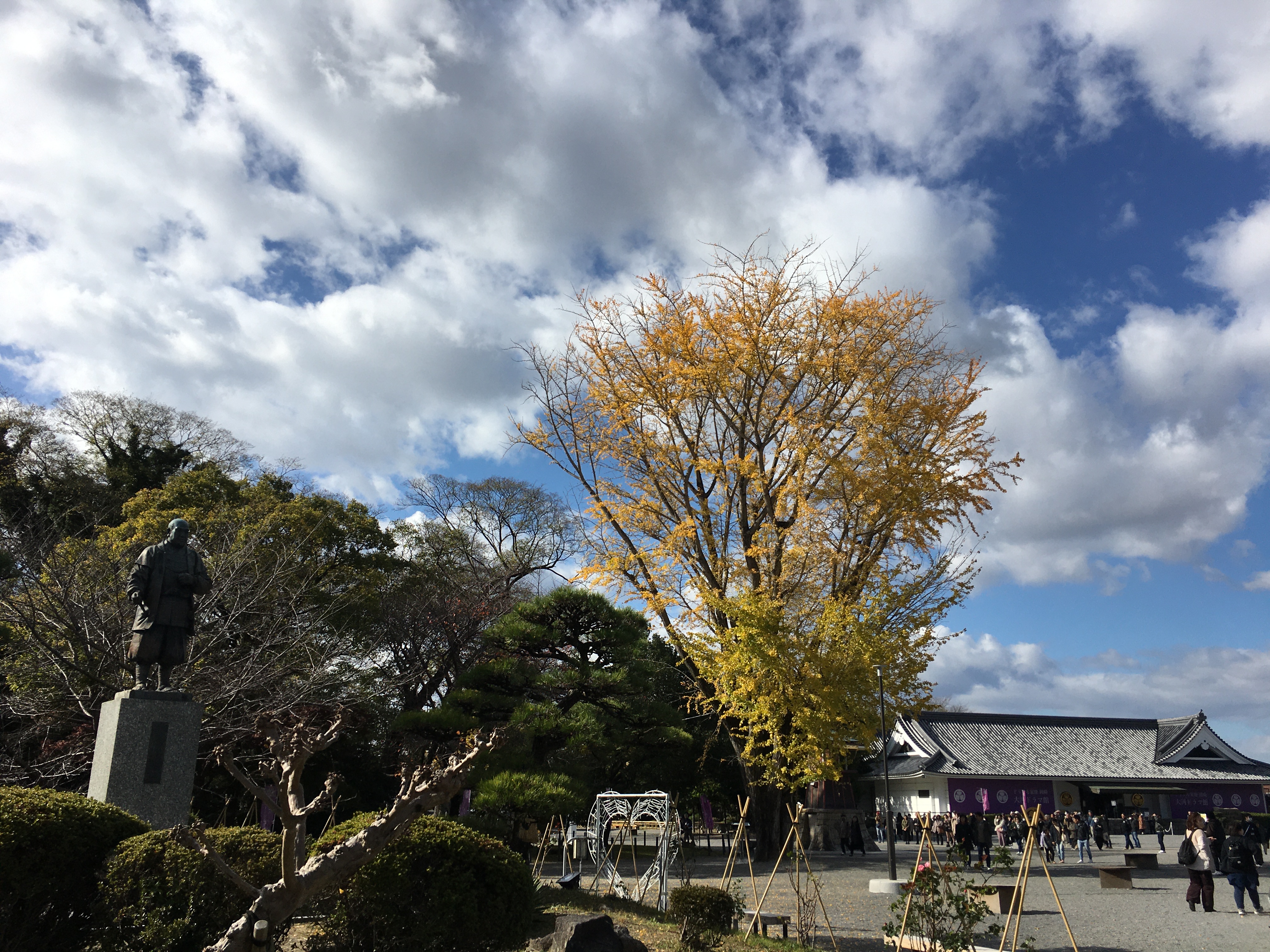 「立冬」と「木枯らし」と「ししゃも」