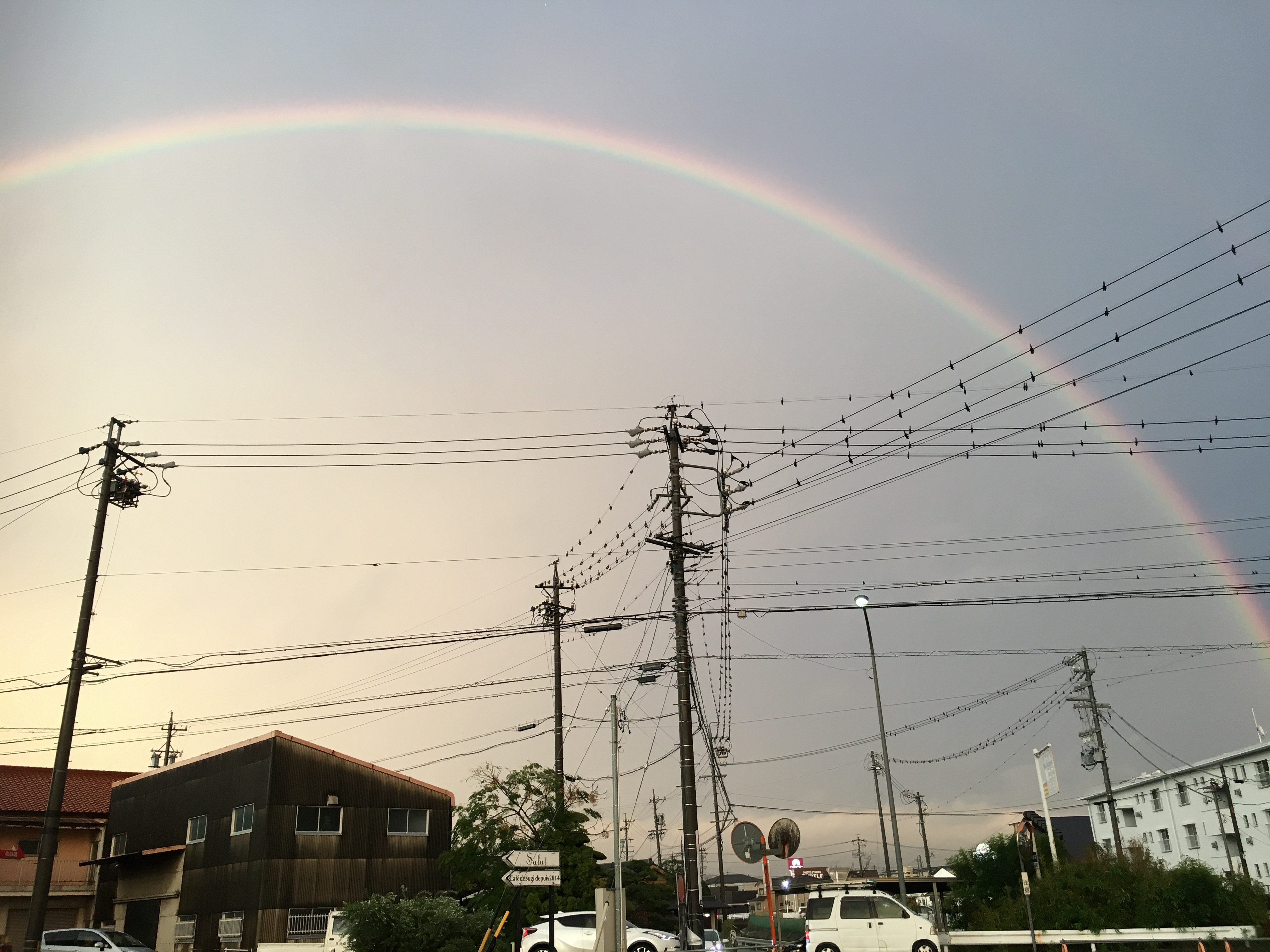 大きな虹が出ましたね！