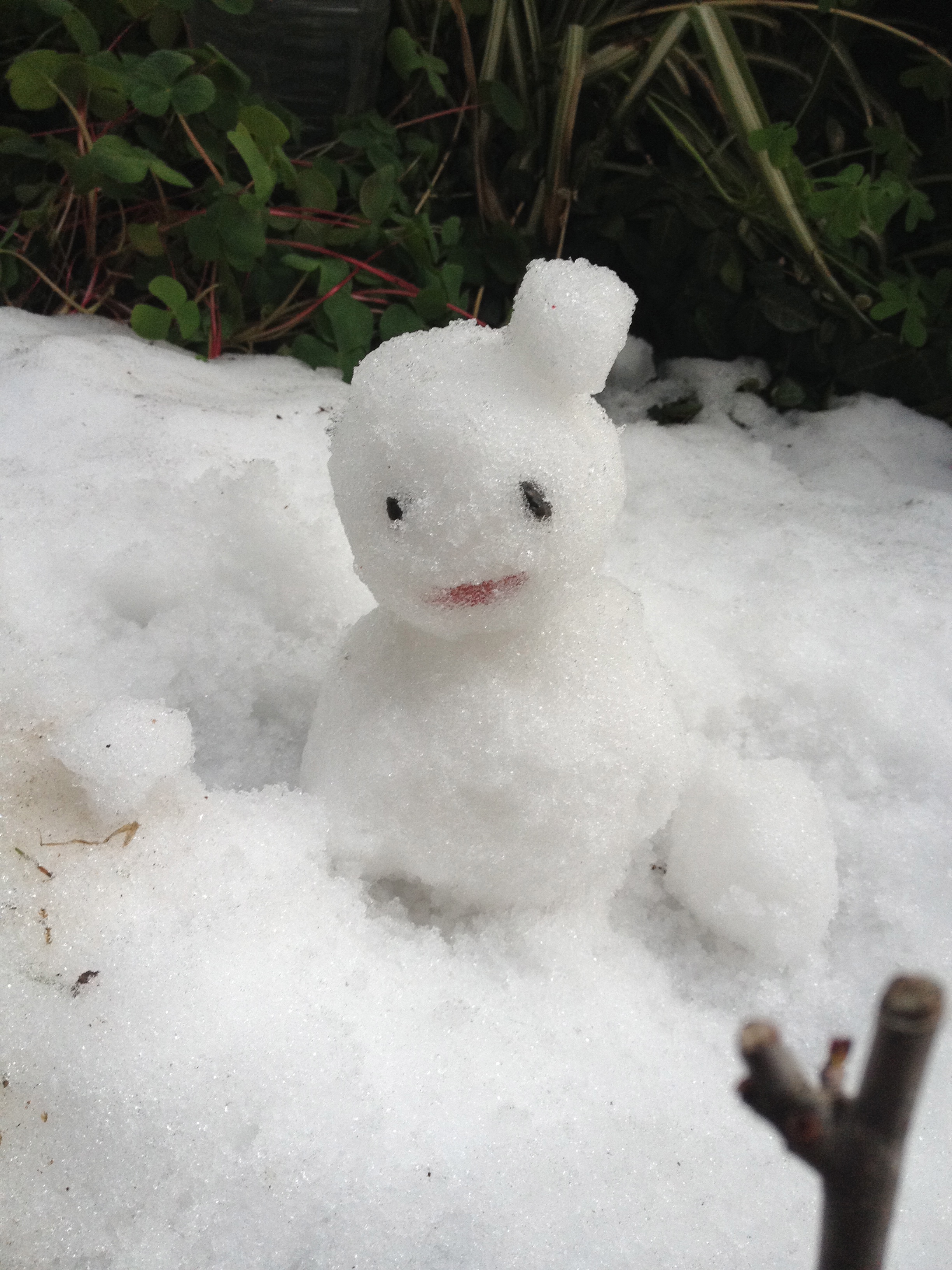 雪の結晶を見たことがありますか？